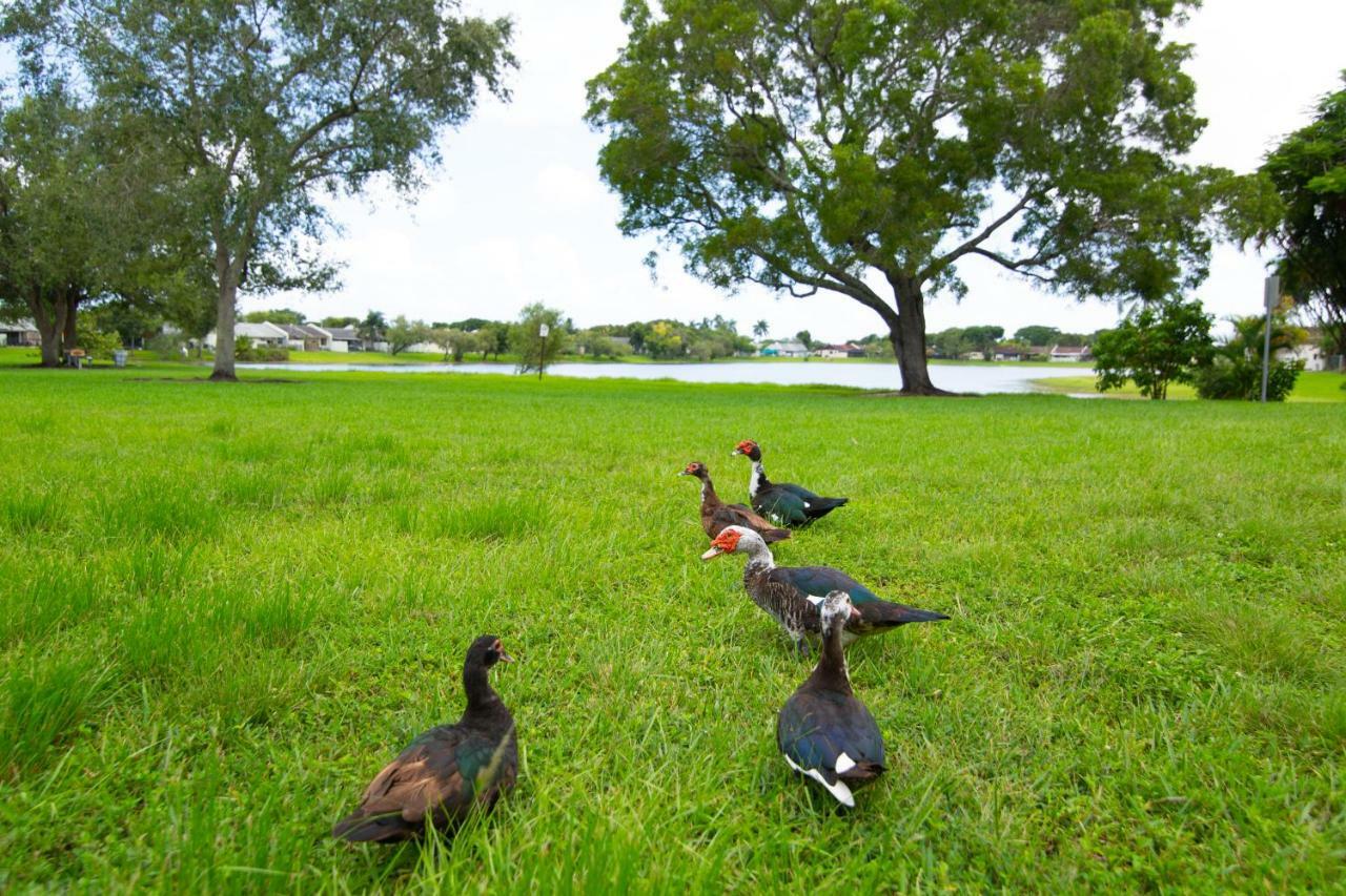 Miami Nice Apartment Екстериор снимка